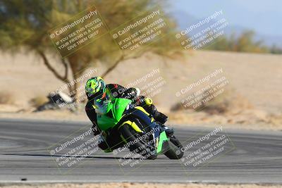 media/Jan-14-2024-SoCal Trackdays (Sun) [[2e55ec21a6]]/Turn 4 Tree of Life (155pm)/